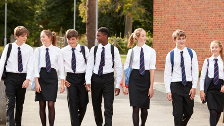 Year 7-11 (ages 11-16 )